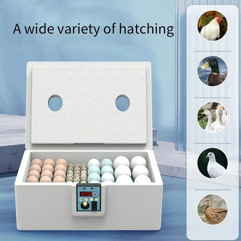 Small Poultry Egg Incubator 24-hour Thermostatic Incubator Chick Incubator Chicken Turning Poultry Brooder Biomimetic Waterbed