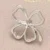 Silver Clover